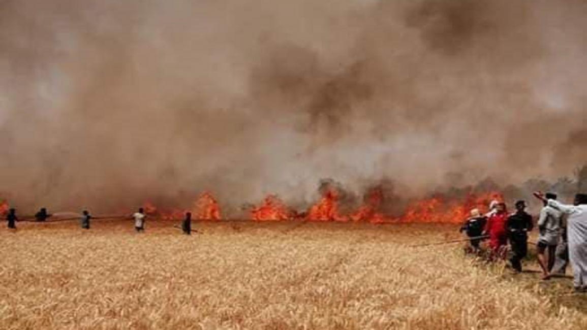حرائق حقول القمح في العراق (فيسبوك)