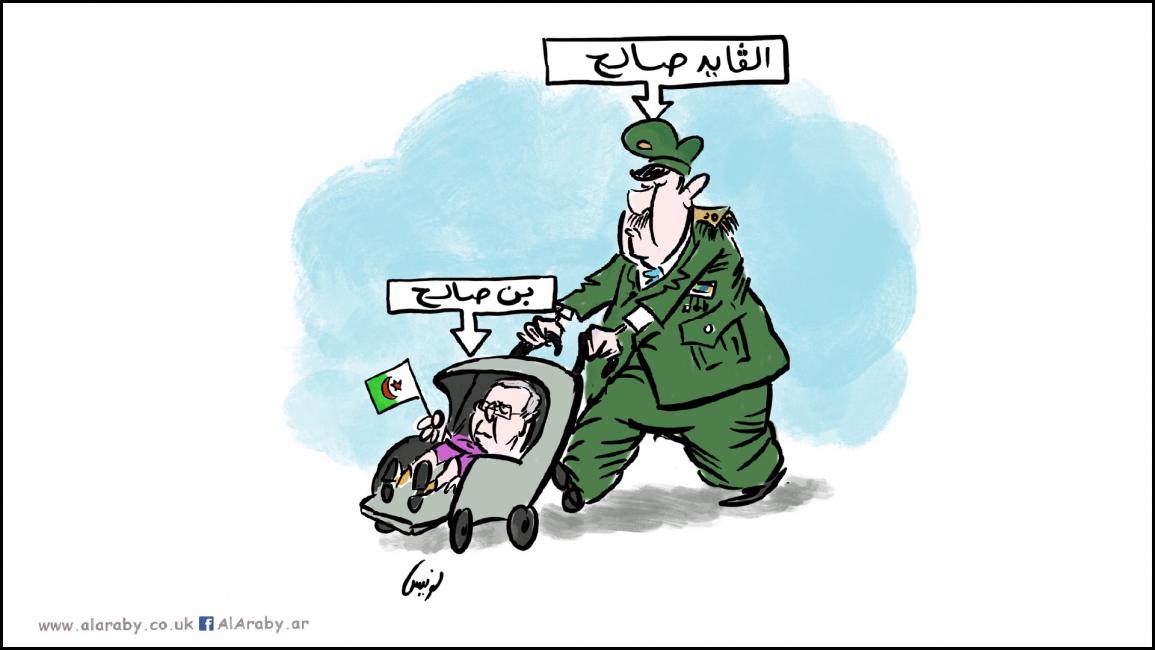 كاريكاتير قايد صالح / لونيس
