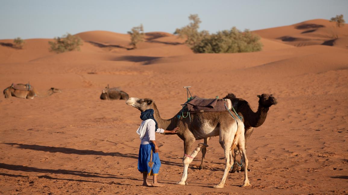 صحراء موريتانيا- فرانس برس