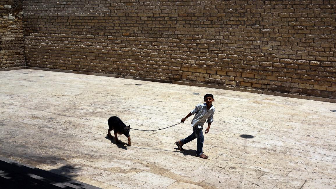 طفل ينزه كلباً في مصر/مجتمع/25-8-2017 (Getty)