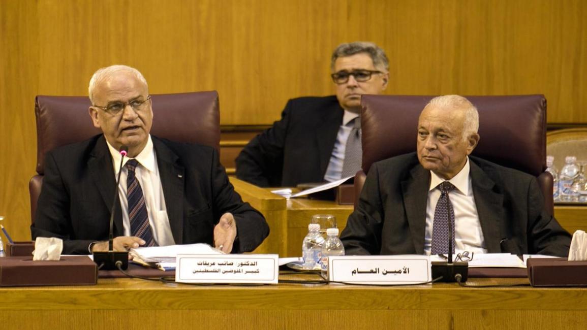 الجامعة العربية تدعو مصر إلى مواصلة جهودها لتثبيت الهدنة