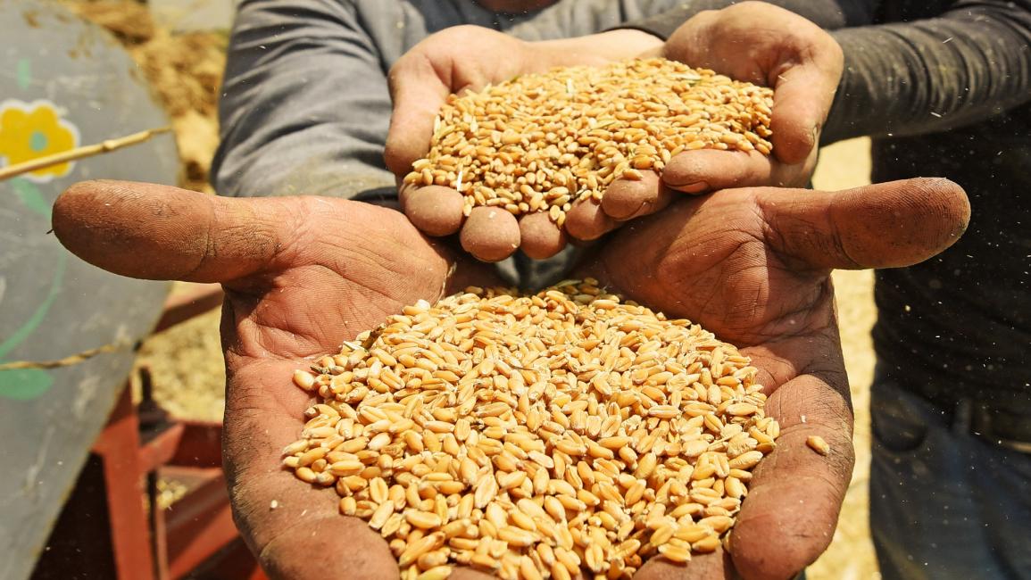 مبيد حشري مخصص لحفظ القمح يقتل المصريين (فرانس برس)