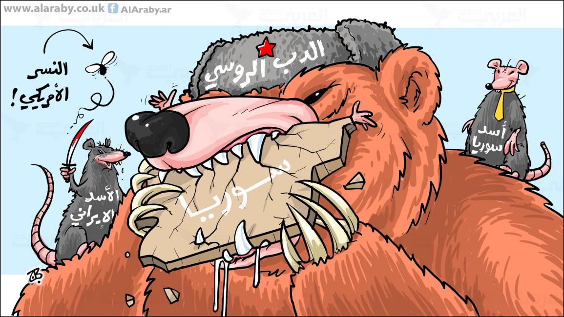 كاريكاتير الدب الروسي / حجاج