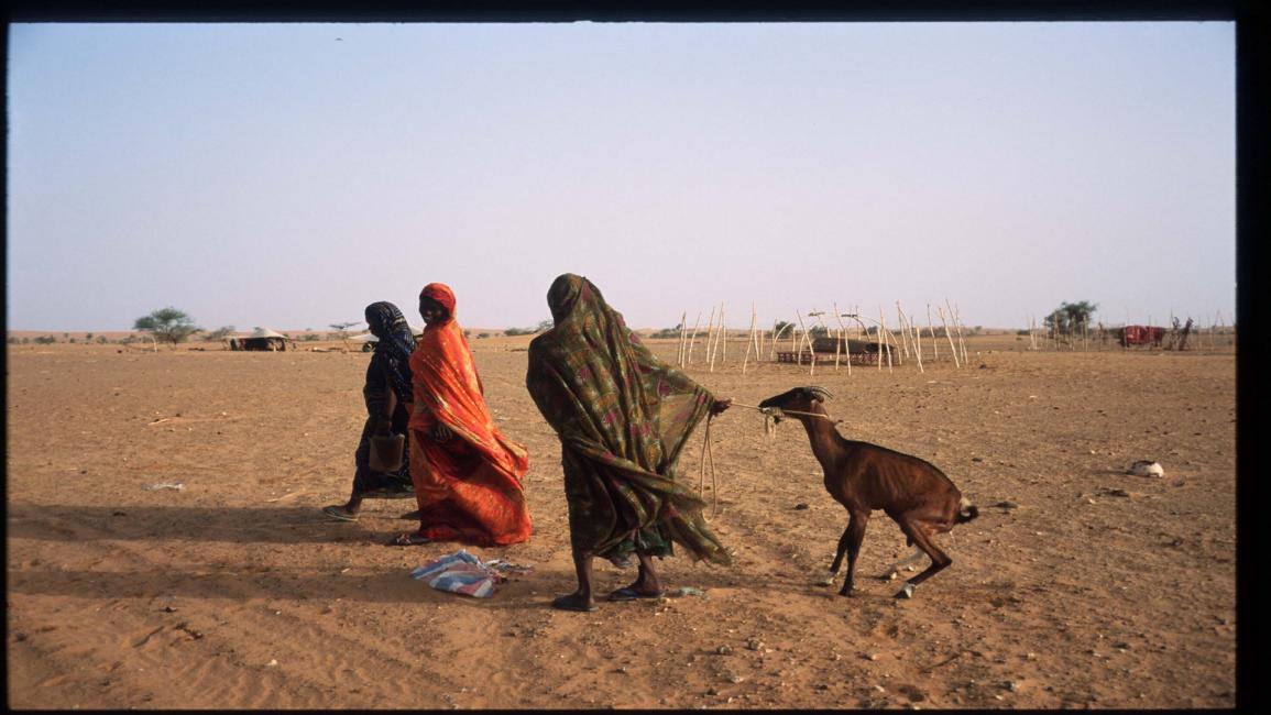 نساء في صحراء موريتانيا