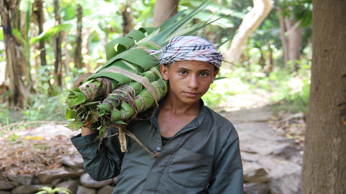 طفل يمني عامل- العربي الجديد