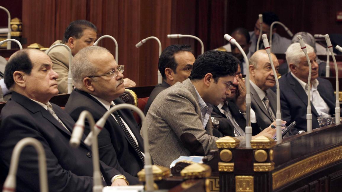 البرلمان المصري/سياسة