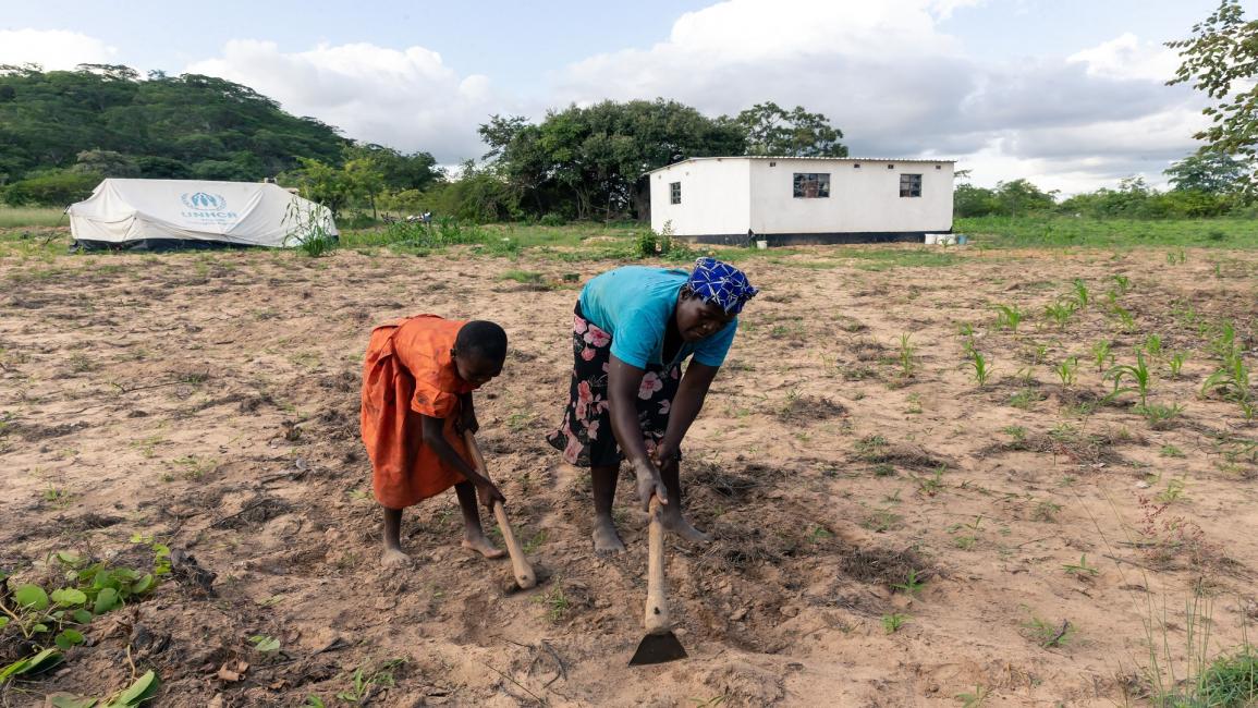 جفاف في زيمبابوي/مجتمع (جيكيساي نجيكيزانا/ فرانس برس)