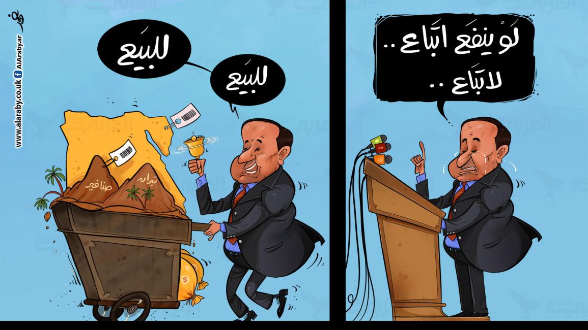كاريكاتير تيران وصنافير/ البحادي 