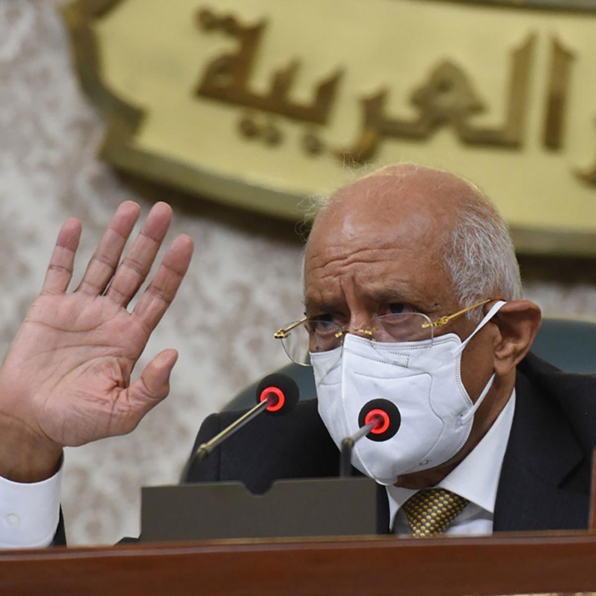 سياسة/البرلمان المصري/(العربي الجديد)