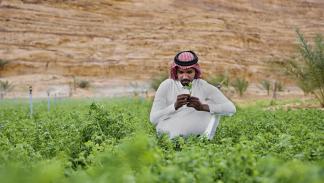الزراعة هي المستهلك الرئيسي للمياه الجوفية للمنطقة، وادي العلا - السعودية (Getty)