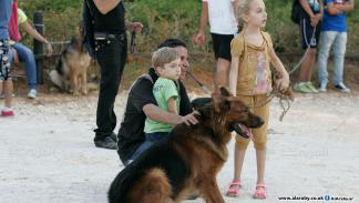 لبنانيون يكافحون للحفاظ على كلابهم (حسين بيضون)