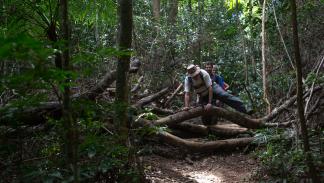 الغابة الأطلسية في البرازيل (إيان شيبوب/ فرانس برس)