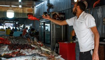 سوق أسماك في مصر (Getty)
