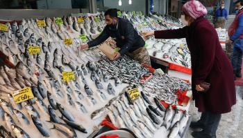أسواق تركيا/الأسماك (Getty)