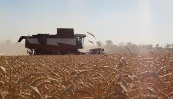 روسيا/الزراعة/حصاد القمح في روستوف (فرانس برس)