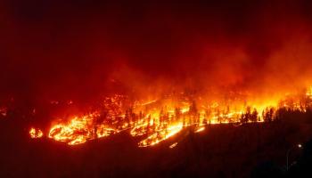 حرائق غابات في كولومبيا، أغسطس 2023 (دارين هال/فرانس برس)