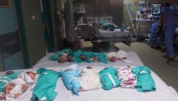 أطفال حديثي الولادة في غزة (الأناضول)