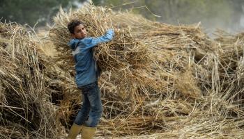 المزارعون، كما المواطنون، يدفعون ثمن فوضى سوق القمح (فرانس برس)