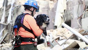 الكلب فلاش مع أحد عمّال الإنقاذ (حسين بيضون)