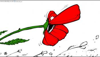 كاريكاتير الاردن في العاصفة / حجاج