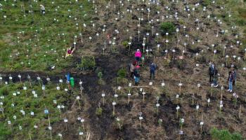 مقبرة لضحايا كورونا في كولومبيا (راوول اربوليدا / فرانس برس)