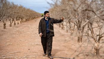 جفاف أرض زراعية في أغادير (فاضل سينا/ فرانس برس)
