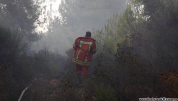 حرائق الغابات- لبنان (حسين بيضون/العربي الجديد)