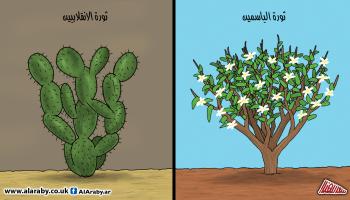 كاريكاتير ثورة الياسمين / المهندي
