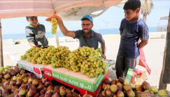 بازار الفاكهة الموسمية في غزة 2 (عبد الحكيم أبو رياش/العربي الجديد)