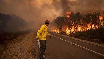 حرائق غابات تجتاح شمالي المغرب