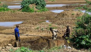 سودانيون ومحاولات زراعة في السودان (أشرف شاذلي/ فرانس برس)