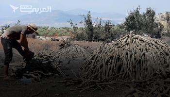 سوريون مهجرون من ريف حماة يمتهنون صناعة الفحم