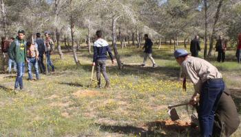 متطوعون يغرسون شتلات أشجار في غابة ليبية (فيسبوك)