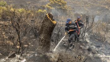 حرائق غابات ورجال إطفاء في تونس (ياسين قايدي/ الأناضول)