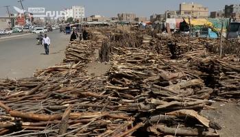 أزمة الوقود تنعش تجارة الحطب في اليمن