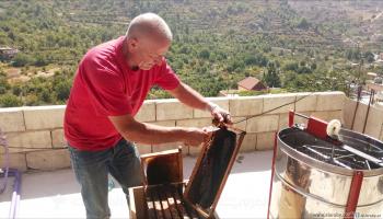 عسل الشنديب نتاج بيئة فريدة في لبنان (العربي الجديد) 