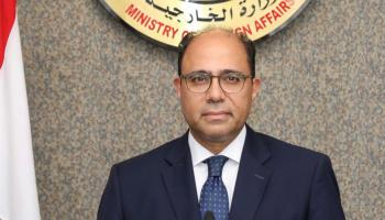 المتحدث باسم الخارجية المصرية أحمد أبو زيد (فيسبوك)
