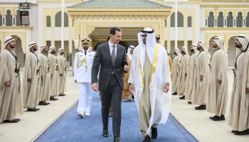 بن زايد والأسد في الإمارات، أول من أمس الأحد (الأناضول)