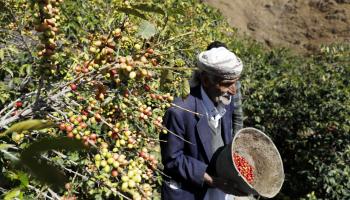 مخاوف من تصاعد أزمة الزراعة (محمد حمود/ Getty)