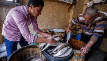الأسماك المملحة في مصر (خالد دسوقي/فرانس برس)