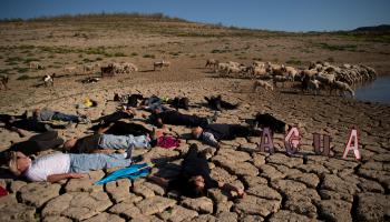  خلال حملة لناشطين بيئيين في ملقة الإسبانية (خورخي غيريرو/ فرانس برس)