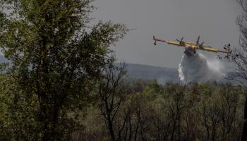 غابات في المغرب وطائرة إطفاء حرائق (جلال مرشدي/ الأناضول)