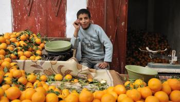 تتمركز عمالة الأطفال في الوسط القروي بالمغرب (جان ميشال كورو/ Getty)