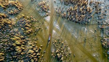 أهوار العراق والجفاف في صورة جوية (حيدر محمد علي/ الأناضول)