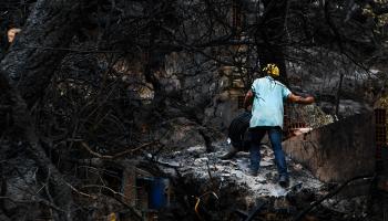 أضرار حرائق غابات في تونس (فتحي بلعيد/ فرانس برس)