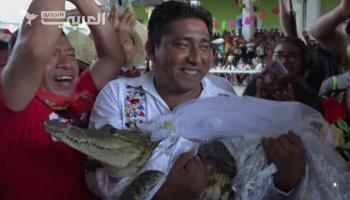 عمدة مكسيكي يتزوج من أنثى تمساح.. لجلب الخيرات