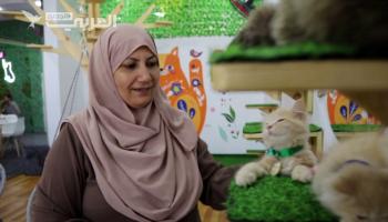 فلسطينية تفتح أول مقهى للقطط في قطاع غزة