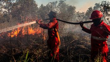 رجال إطفاء يكافحون النيران في إندونيسيا (محمد أفين/الأناضول)