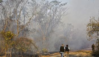 فشلت بوليفيا في خفض معدل إزالة الغابات والحرائق (أيزر رالديس/ فرانس برس)