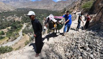 نقل إمدادات على الحمير إلى قرى متضررة من الزلزال في المغرب (فتحي بلعيد/ فرانس برس)